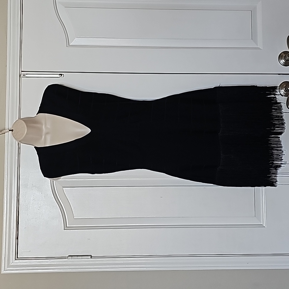 Body con fringe dress